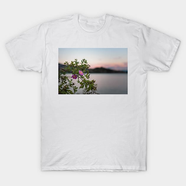 Wild Roses at Summer Sunset on Okanagan Lake T-Shirt by Amy-K-Mitchell